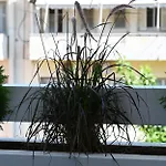 Restia Luxury Loft Apartmán *