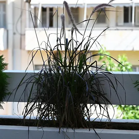 Restia Luxury Loft 公寓 *